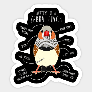 Zebra Finch Anatomy Sticker